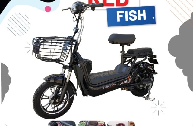 Motor Apa Yang Harganya Murah
