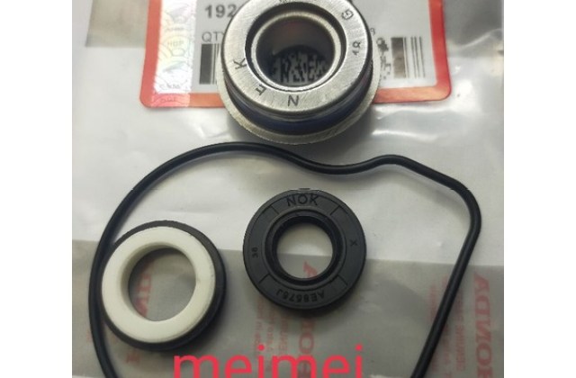 Sil Water Pump Vario 125
