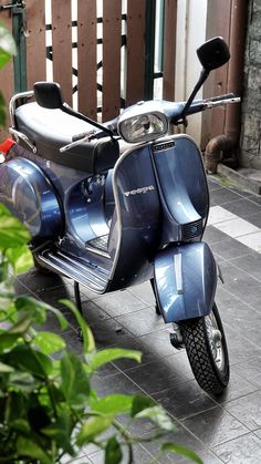 Warna Cat Vespa Original
