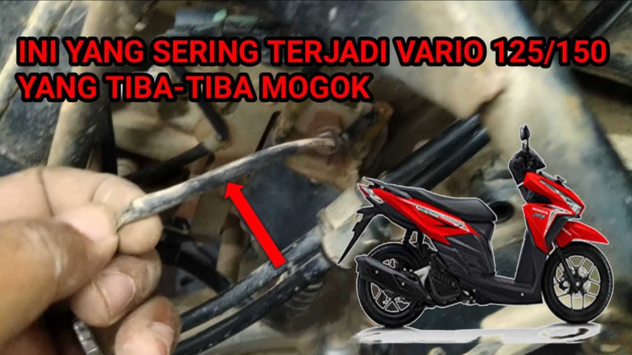 Vario 125 Tidak Bisa Hidup
