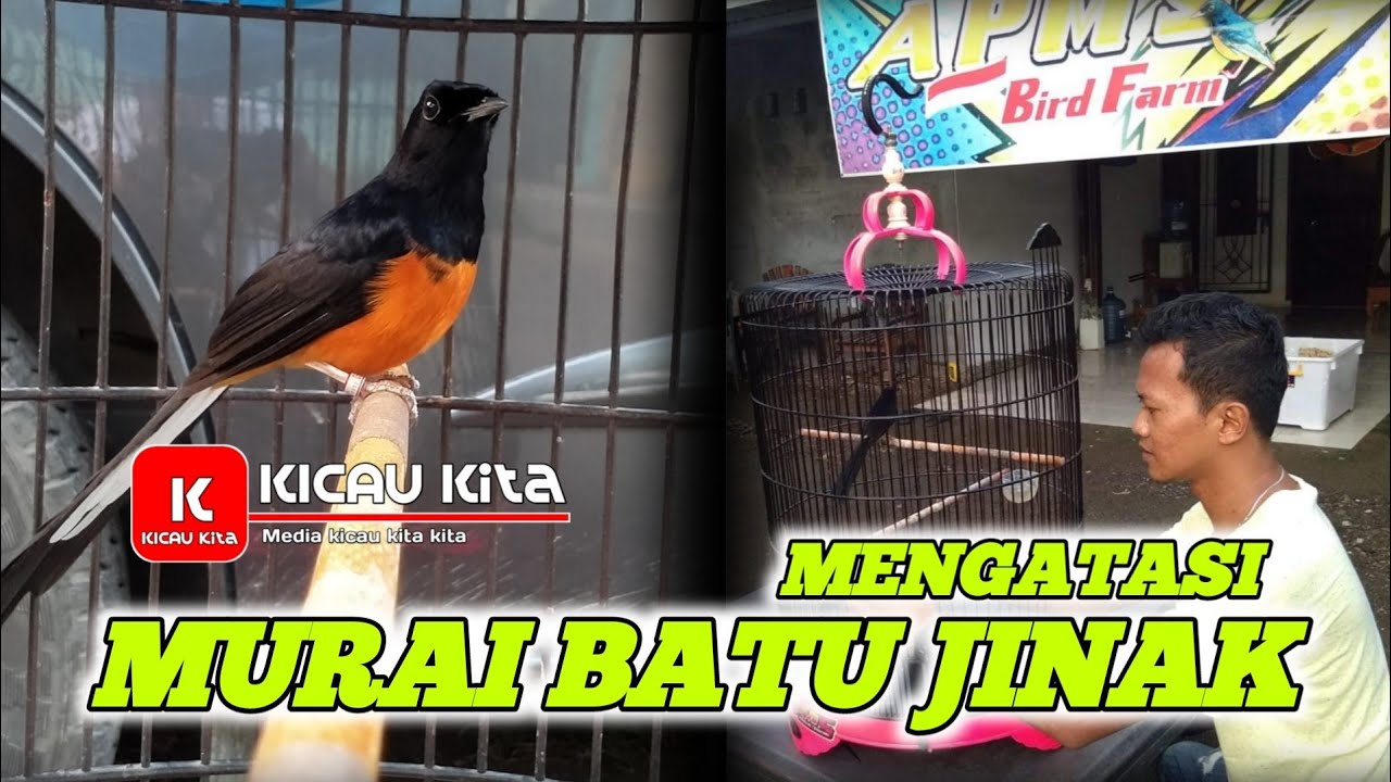 Memahami Settingan Karburator Motor
