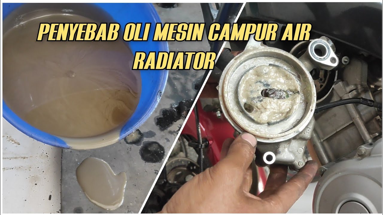 Oli Masuk Ke Radiator
