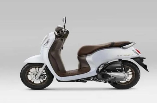 Berapa Harga Honda Scoopy Bekas
