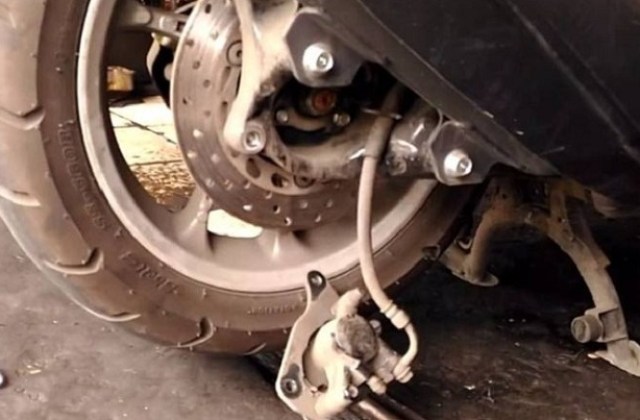 Cara Mengganti Kampas Rem Belakang Motor Matic
