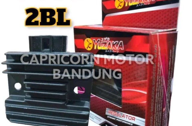 Skema Kiprok Rx King
